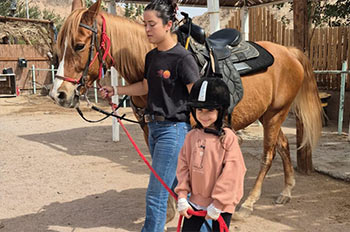 קשת בית ספר ללרכיבה בחוות הגמלים