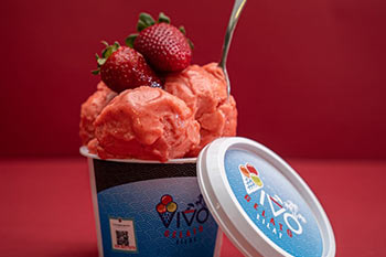 Gelato Vivo - חוויה של גלידה איטלקית