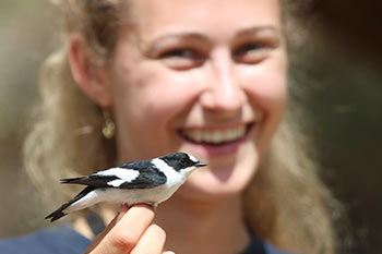 Secrets of Bird Migration Tour im Eilat Birding Park