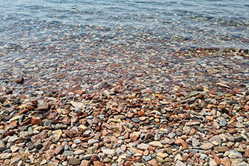 יום ניקיון חופים - יום המעשים הטובים 2024