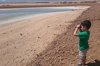 סיור חוויתי רכוב לשמורת עברונה