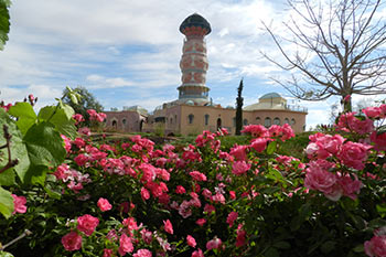 "מהגינה לצלחת" - סדנה ייחודית בגן הירק הקסום