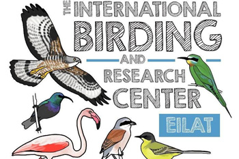 Ornithology, Arts & Crafts