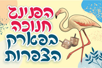 הפנינג חנוכה בפארק הצפרות