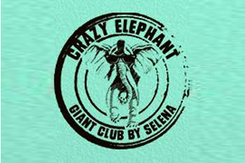 רביעי ב'קרייזי אלפנט' אילת