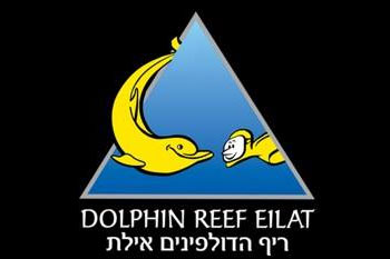 כנס הצלילה הבינ"ל - ערב העצמת נשים