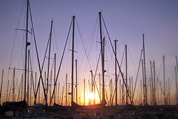 סיפורי ים וסביצ'ה