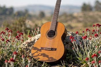 ערב שרים געגוגע ביעלים