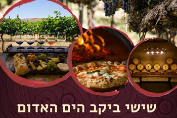 Love Among the Vineyards - Weekends at the Red Sea Winery