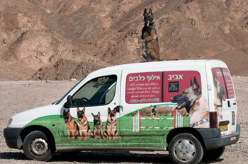 Aviv Dog Training
