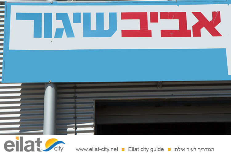 אביב שיגור אילת