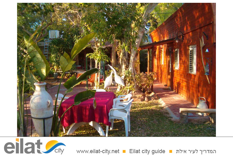 אצל תקווה מושב עין יהב - אירוח בגינה ירוקה