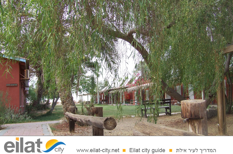 בית ספר שדה מושב חצבה - השער לטיולים בערבה