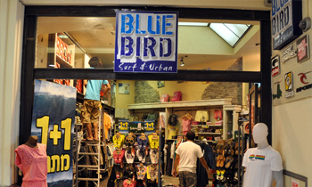 בלו בירד אילת - אופנת גלישה