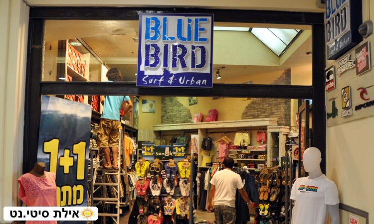 בלו בירד אילת - אופנת גלישה