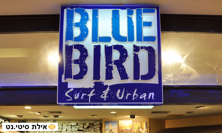 בלו בירד אילת - אופנת גלישה לצעירים וצעירות