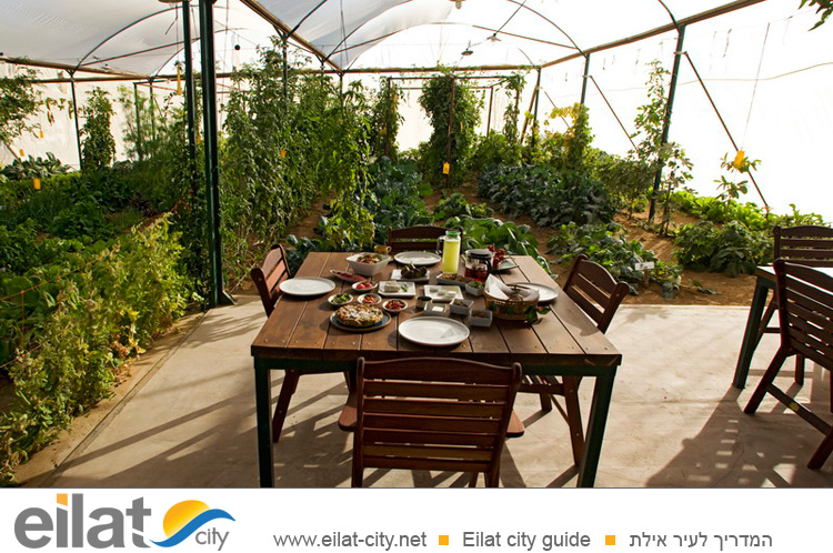 גן ירק מושב צופר - דרך נפלאה להתחיל את היום בצופר