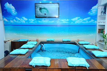 דוקטור דג - פנים הספא