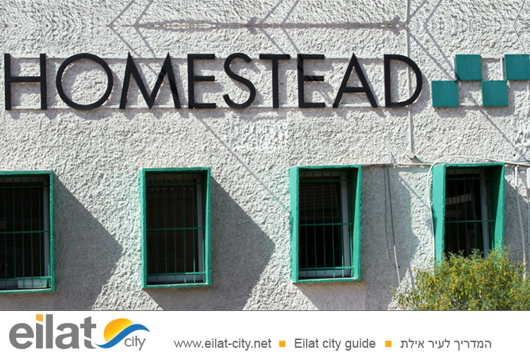 הומסטד אילת