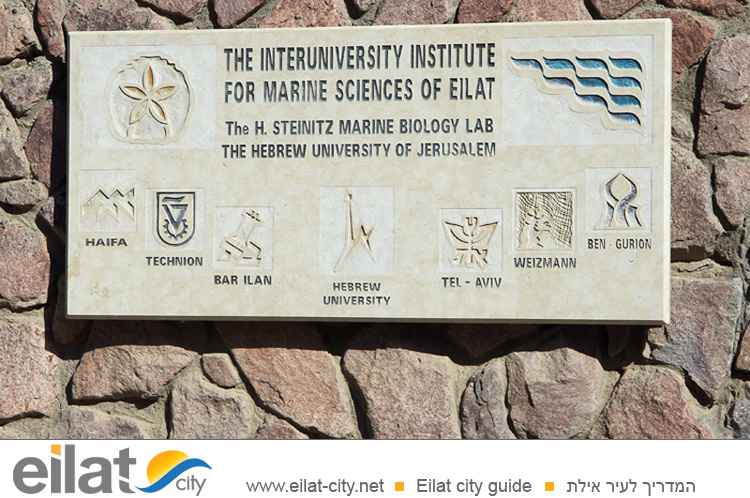 המכון הבינאוניברסיטאי למדעי הים אילת