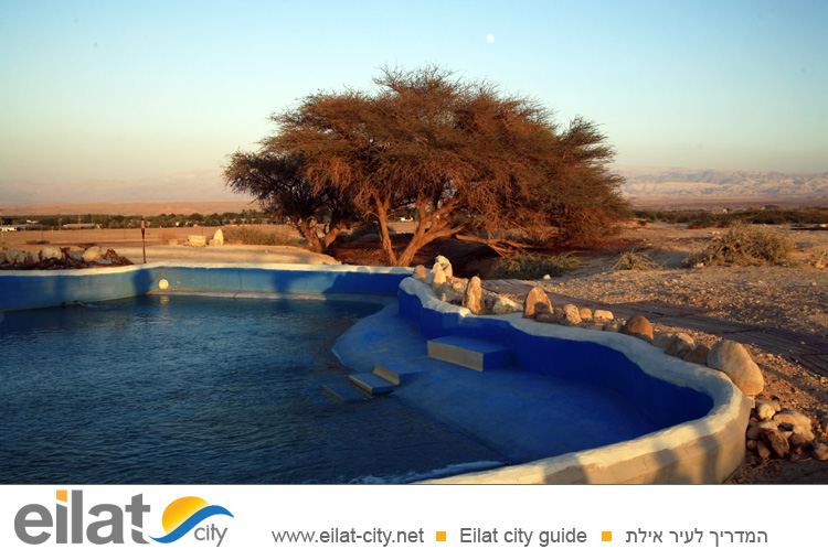 חאן דרך הבשמים מושב צופר - אירוח בדואי וטיולי גמלים וחמורים בצופר