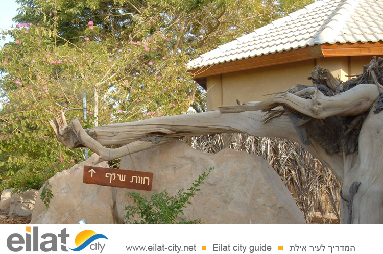 חוות שיזף מושב חצבה - האירוח המושלם למשפחות