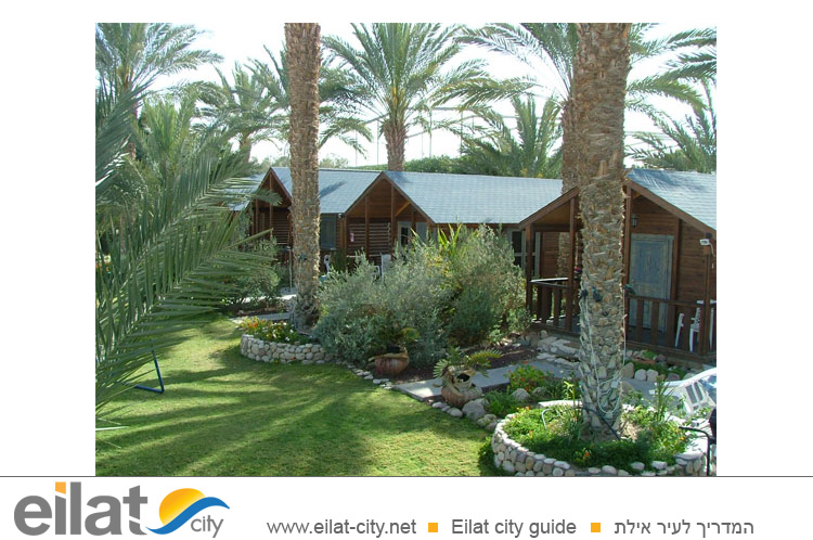 חולות מדבר מושב עין יהב - אירוח בבקתות עץ