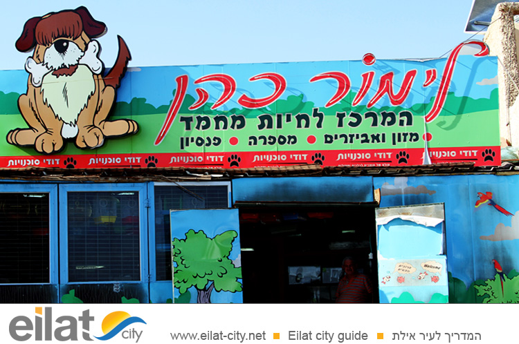 לימור כהן אילת