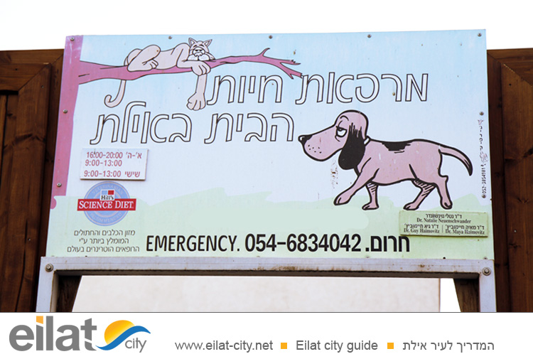 מרפאת חיות הבית אילת