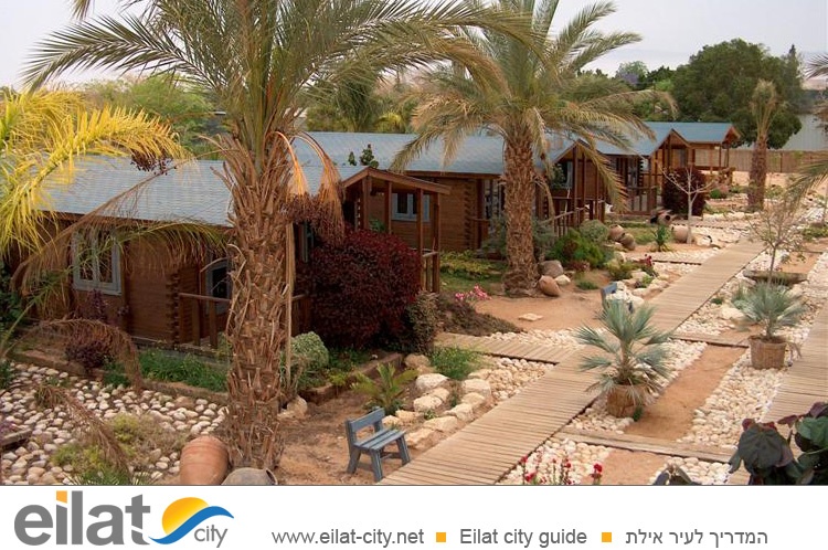 פנינה במדבר מושב צופר - אירוח כפרי