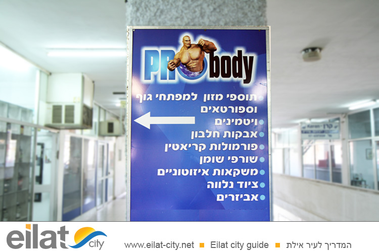פרו בודי אילת