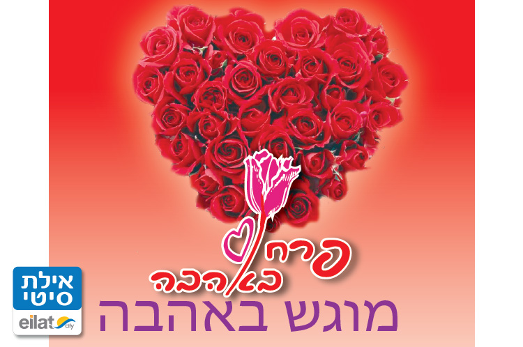 פרח באהבה אילת