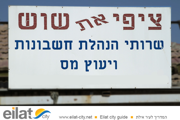 ציפי את שוש אילת