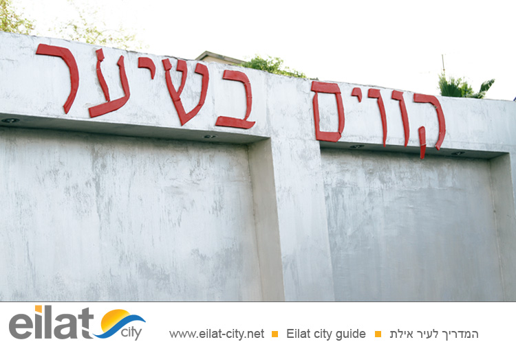 "קווים בשיער" אילת