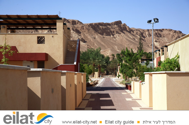 קרן קולות קיבוץ קטורה - "הגן הקסום" בקיבוץ קטורה