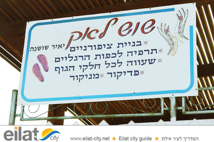 שוש לאק אילת