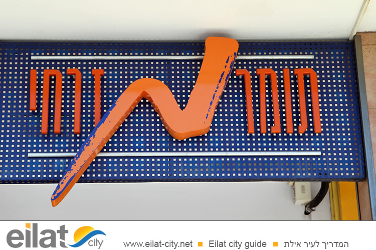 תומר מזרחי אילת